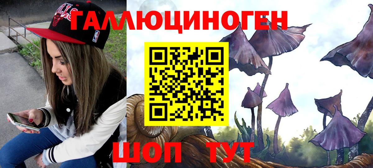 Каменск-Уральский  купить наркотик  Вход с VPN  Псилоцибиновые грибы мицелий 